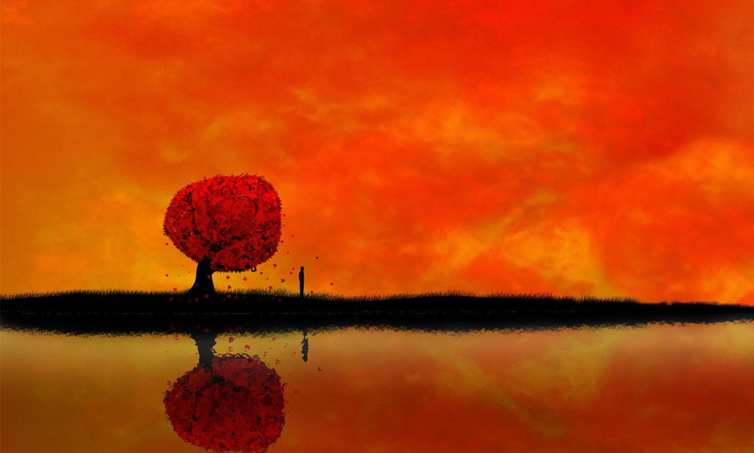 天津笙影微信朋友圈转发案例