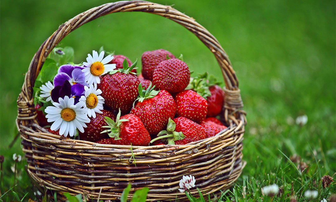 天津点呀点水果电商APP开发案例